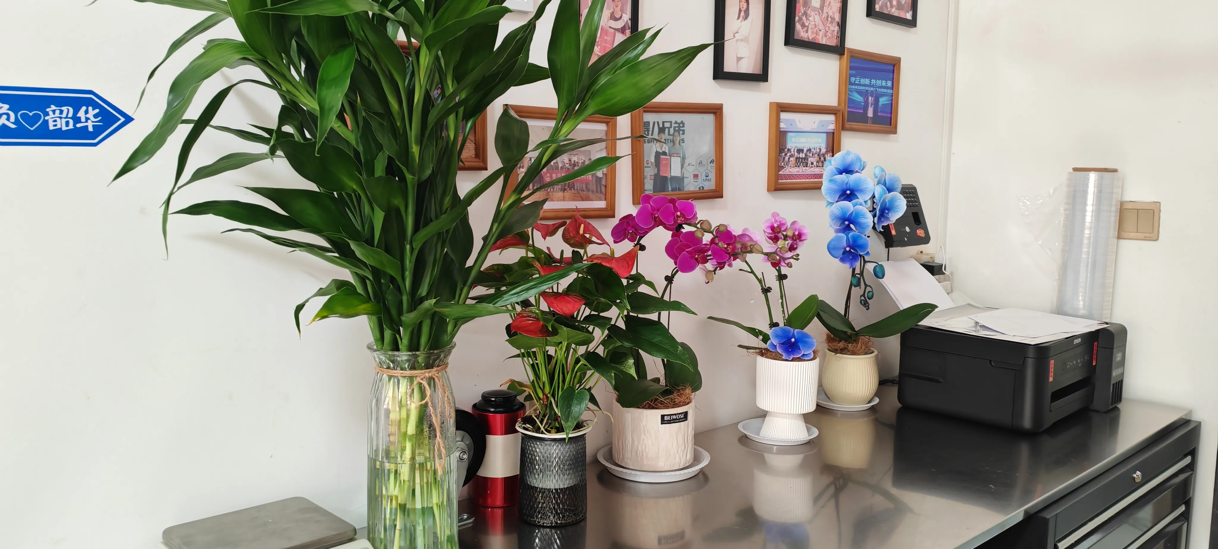 Ongi etorri JOJO Pack-en lagun berriak!