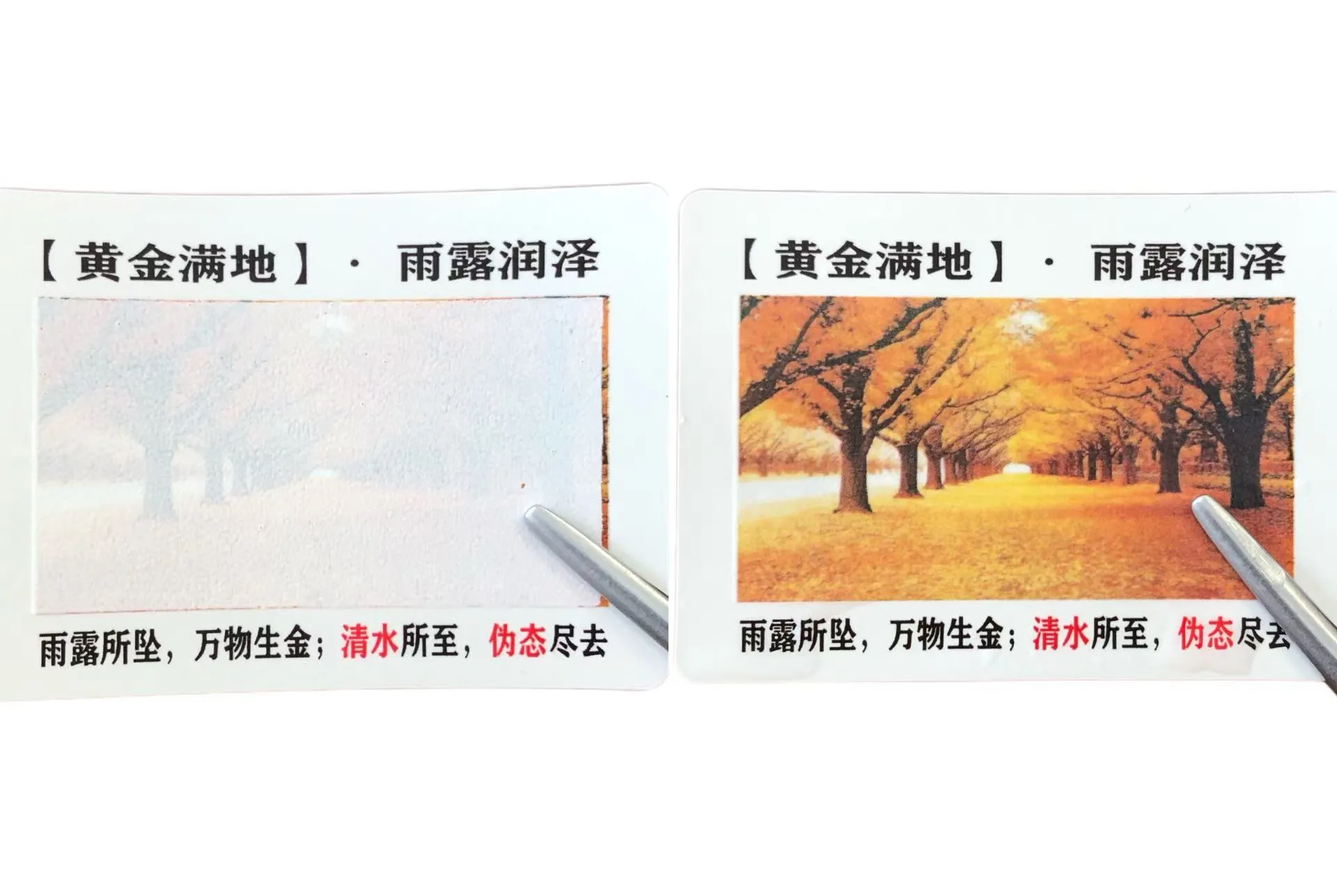 Ba al dakizu kolore aldaketa ura sentikorrak diren etiketak?