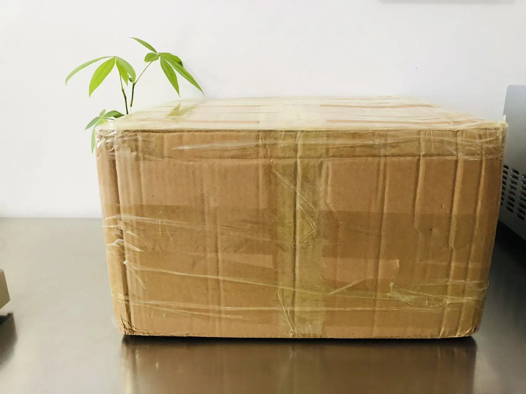 Marrazki bizidunen epoxizko eranskailuak Japoniara bidean