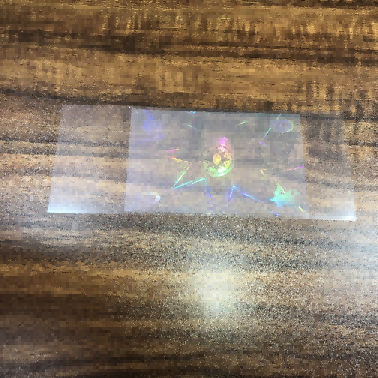Eranskailu holografiko gardenak